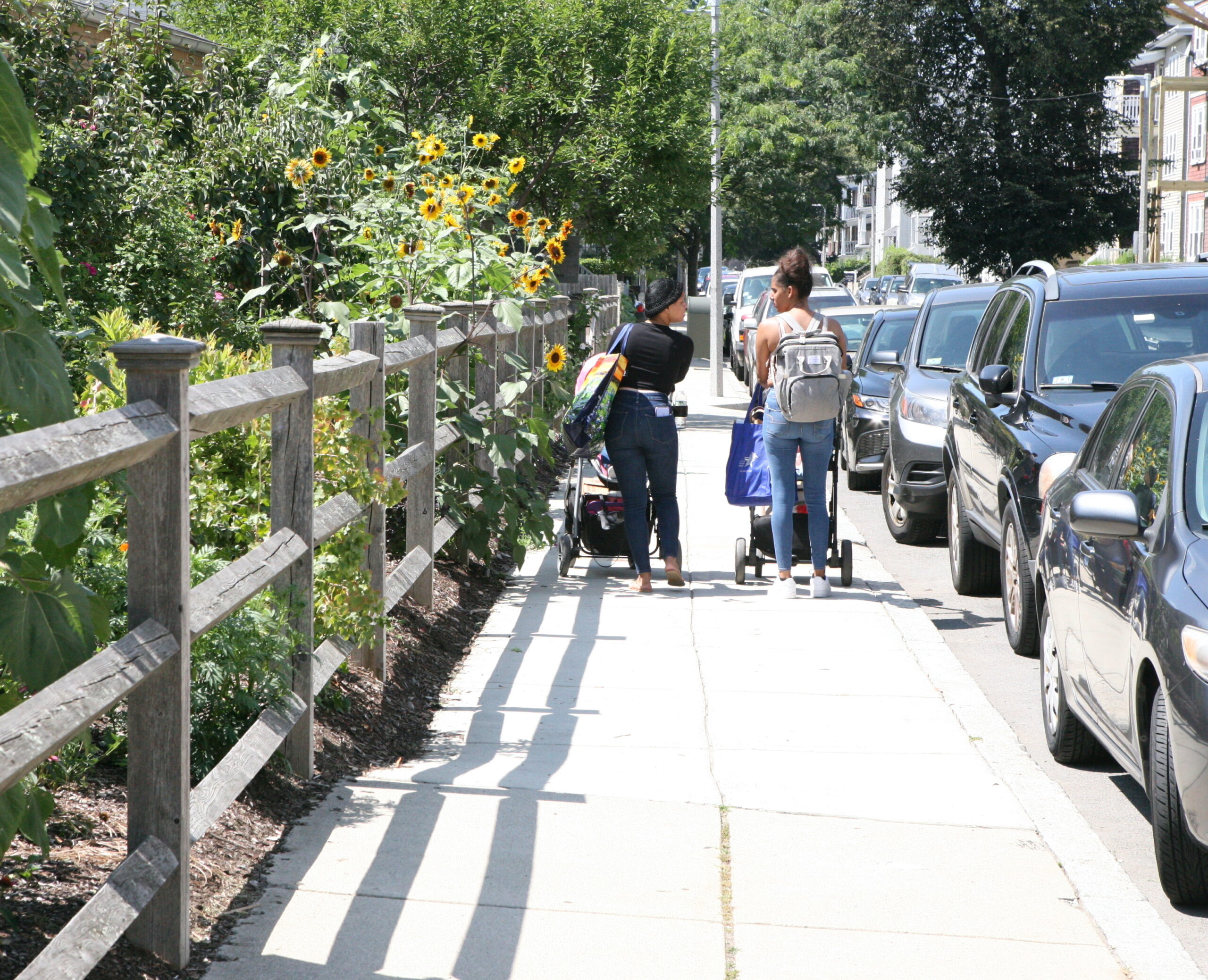 IMG_9702